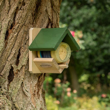 Bird Jar & Pod Feeders